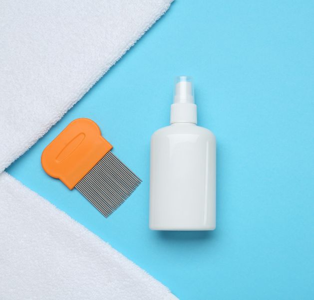 Professional lice treatment specialists in Abu Dhabi