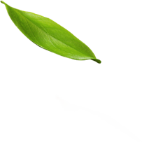 Decorative leaf shape